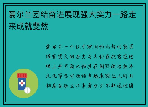 爱尔兰团结奋进展现强大实力一路走来成就斐然